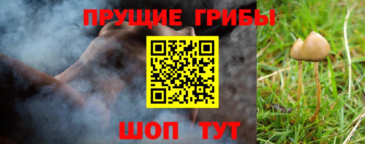 Галлюциногенные грибы Magic Shrooms  цена наркотик  Псилоцибиновые грибы Psilocybe  Саранск  Вход с VPN 